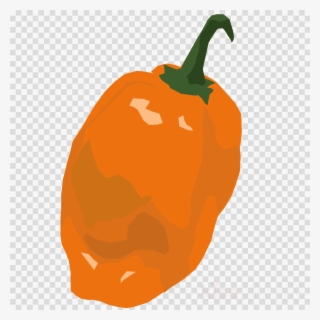 Download Habanero Pepper Png Clipart Chili Pepper Bell - Orange Ball Transparent Background