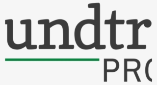 American Physician Partners Logo