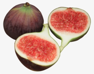 Fig Png