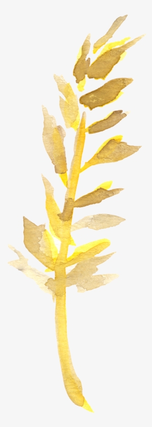 1 2 3 4 5 6 7 8 9 10 11 - Aletris