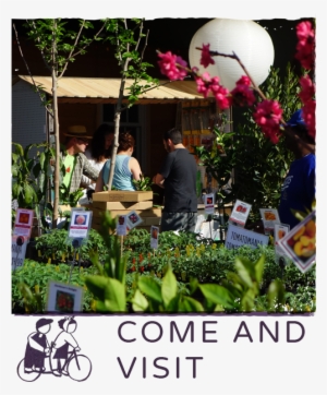 Store Hours, Location, Everything You Need To Come - Fig Earth Supply