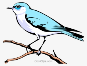 Mountain Bluebird Royalty Free Vector Clip Art Illustration - Illustration