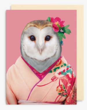 Barn Owl - Tyto Alba - Zoo Portraits