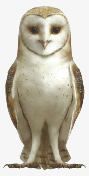 Soren - Soren Ga Hoole