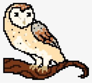 Barn Owl - Pixel Barn Owl
