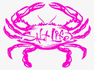 Salt Life Salty Crab Decal - Salt Life Crab