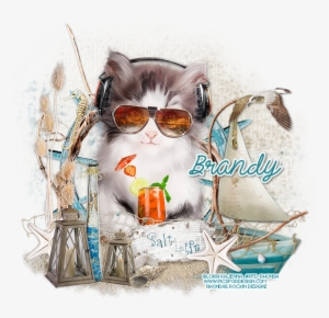 Enjoying The Salt Life - Kitten