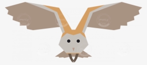 Barn Owl Bird Vector Artwork - Barn Owl