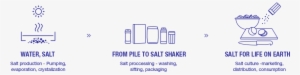 קיימות מהווה חלק מה-dna של מלח הארץ - Life Cycle Of Salt