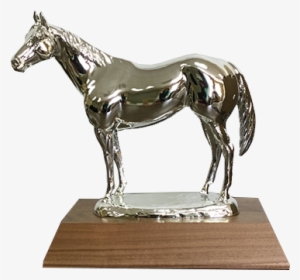 Aqha Level 1 Silver Trophy - Silver