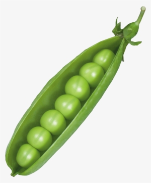 Pea Pod Png