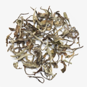 White Tea Leaves Chaisafari - Tea