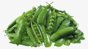 Pea Png