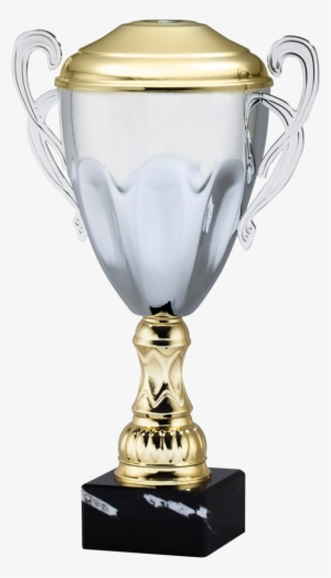Silver Trophy - Gold