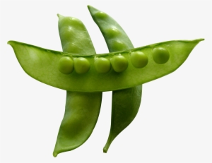 Snow Peas - Snow Peas Png