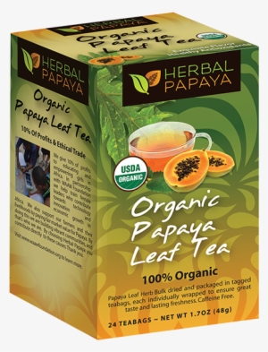 Organic Papaya Tea Leaf -24/2g Bags - Herbal Papaya Organic Papaya Leaf Tea - Rooibos - 24