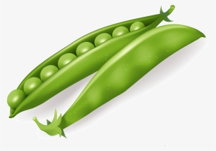 Free Png Pea Png Images Transparent - Vegetables Vector Free