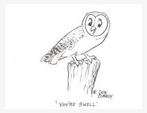 Barn Owl Youre Swell - Sketch
