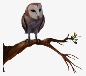 Jpg Transparent Library Transparent Owl Pottermore - Owl Pottermore Png