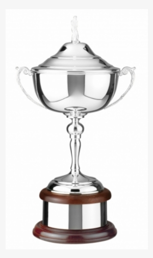 Golfing Challenge Cup 17in