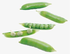 Green Pea