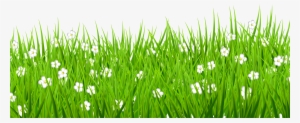 Png Stock Grass Background Clipart - Grass With Flowers Transparent