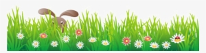 Flowers Image Background Arts - Easter Grass Png