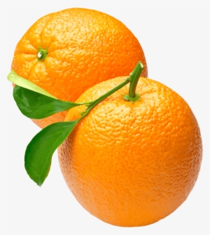 Frutas - Oranges Png