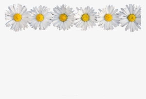 Daisy Flower Crown Tumblr Transparent - Transparent Daisy Crown