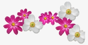 Transparent Flower Crown Png - Pearl Farm Food Menu