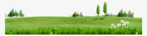 Fundal Information - Green Grass Background Png
