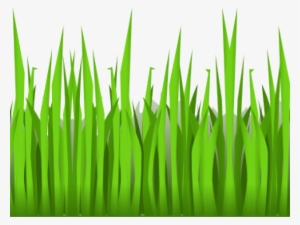 Grass Clipart Clear Background - Cartoon Grass Transparent Background