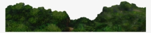 Rainforest Background - Grass