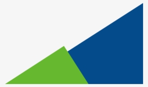 Chiropractic Board Exam - Flag