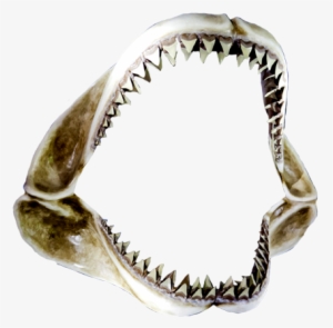 Open Shar Jaws - Shark Jaws