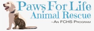Phasing Out Of Franklin County Humane Society - Paws For Life