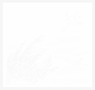 File - Imperial Encyclopaedia - Animal Kingdom - Pic037 - Line Art