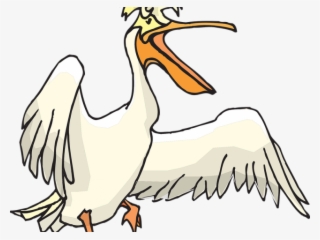 Pelican Clipart Transparent - Pelican Drawing