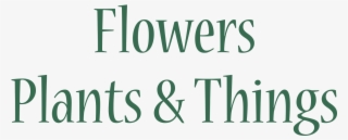 Bluestockings Of Japan: New Woman Essays