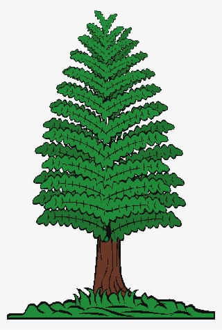 Pine Trees Of Angus On - Transparent Swaying Tree Gif