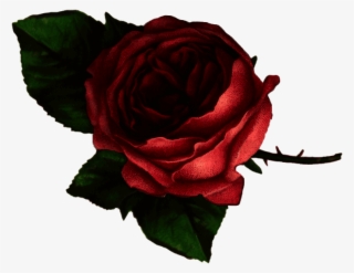 I - Pink Rose Cut Out