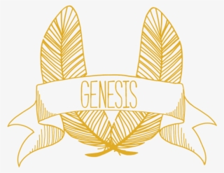 Demo Reel - Video - Illustration