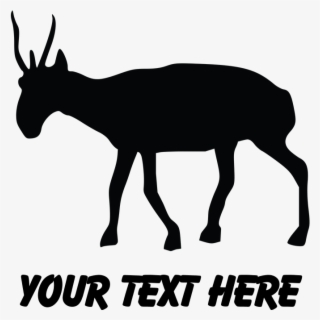 Front Design