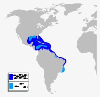 Indian China Korea Japan