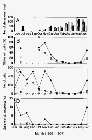 Number Of Stems Examined Of The Three Wild Gourd Plants, - Diagram