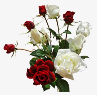 White Rose Png 5, Buy Clip Art - Transparent Bouquet