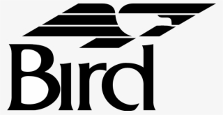 Bird Vector - Bird