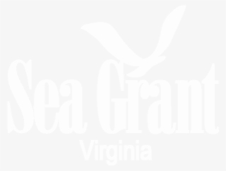 Va Sea Grant - National Sea Grant College Program