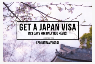 How To Get A Japan Visa In Less Than 5 Days For Only - Needs Vs Wants