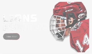 Goaltender Mask